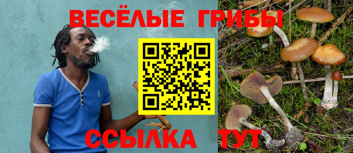 Каменка  Галлюциногенные грибы мухоморы  как найти закладки  Вход с VPN 