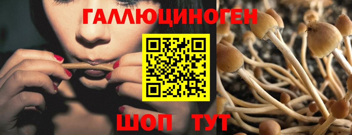 Псилоцибиновые грибы MAGIC MUSHROOMS Каменка